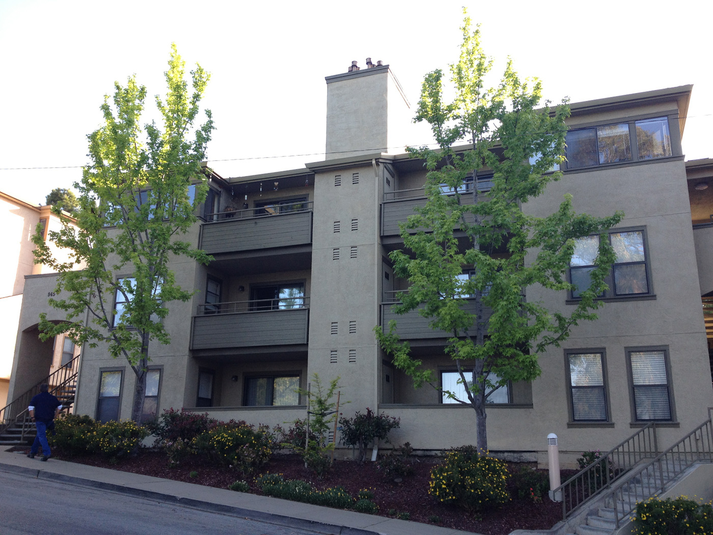 Window construction expert witness, Colorado